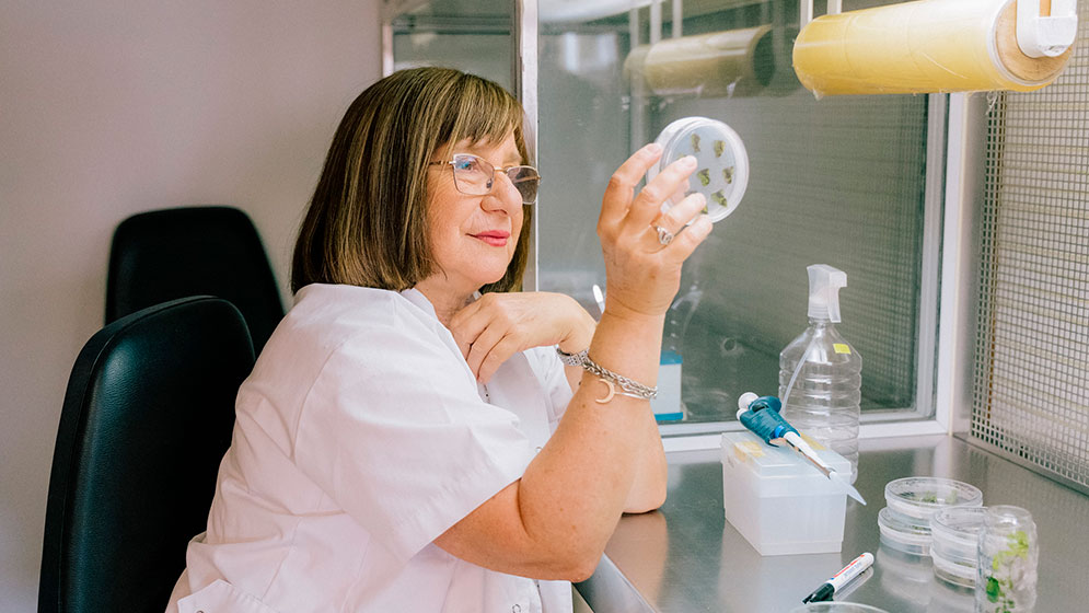 Raquel Chan, la científica argentina que llevó la agrobiotecnología al máximo reconocimiento mundial