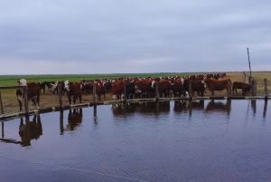 Invertir en infraestructura, clave para una gestión de agua eficiente