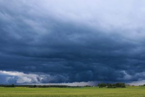 ¿Se adelantan las lluvias de primavera?