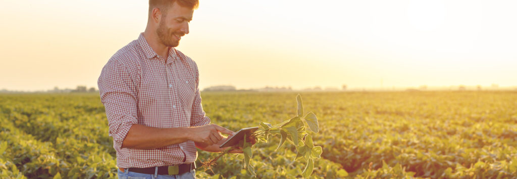 Soluciones financieras y digitales para toda la cadena de valor del agro