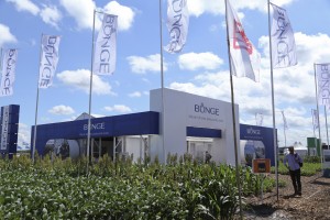 25/2 – BUNGE VIENE A «MULTIPLICAR»