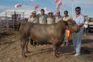 Intensa jornada en el sector ganadero de Expoagro