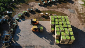 La logística agroindustrial: el desafío de la eficiencia y la sostenibilidad