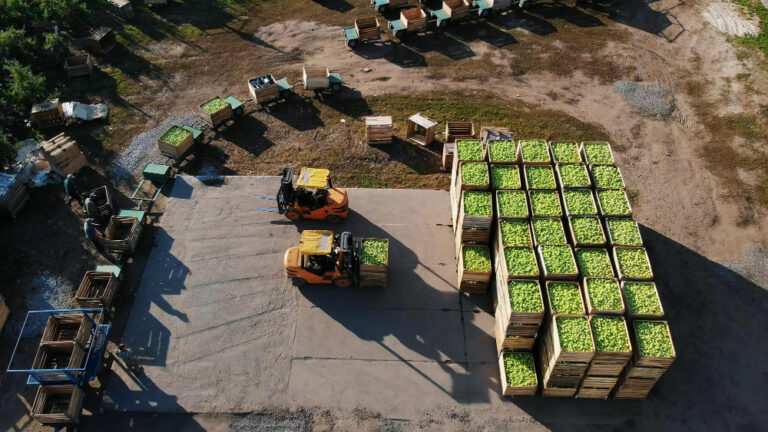 La logística agroindustrial: el desafío de la eficiencia y la sostenibilidad