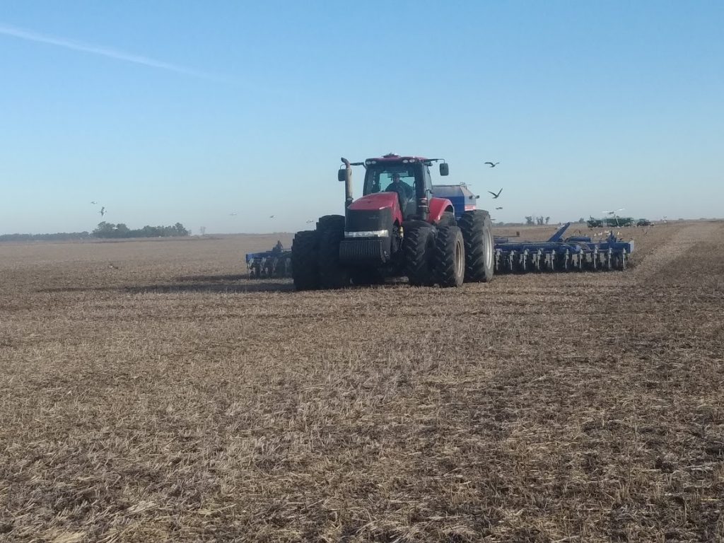 Trigo: La siembra acelera mientras crecen los costos de producción