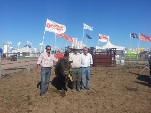 Primera jura de temperamento de la Argentina