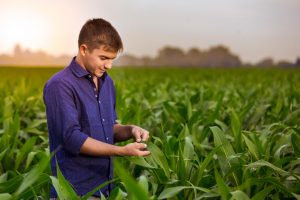 18/01- ¿Cómo insertarse laboralmente en la cadena agroindustrial?