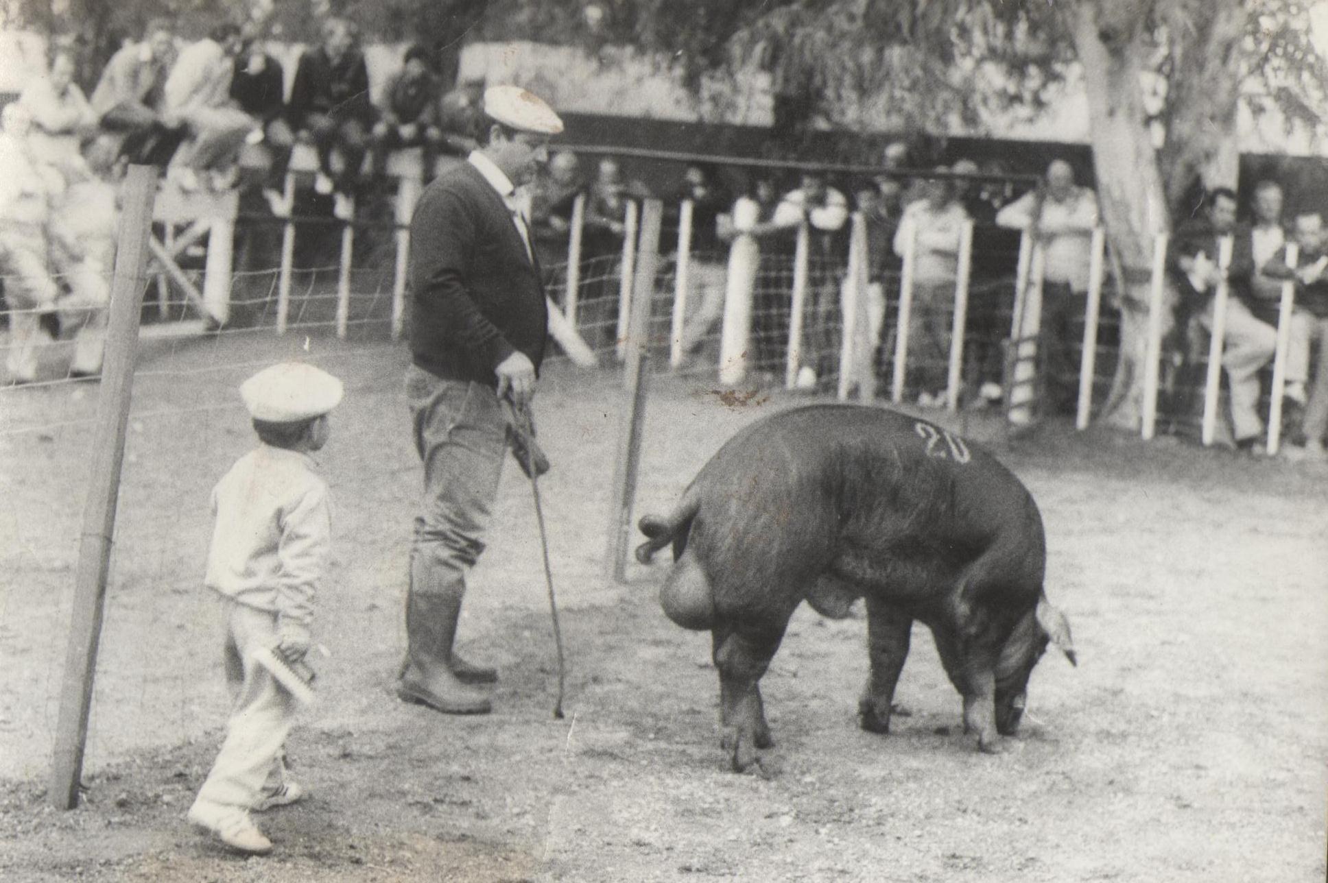 La Blanquita, la historia de la cabaña porcina más antigua de Argentina