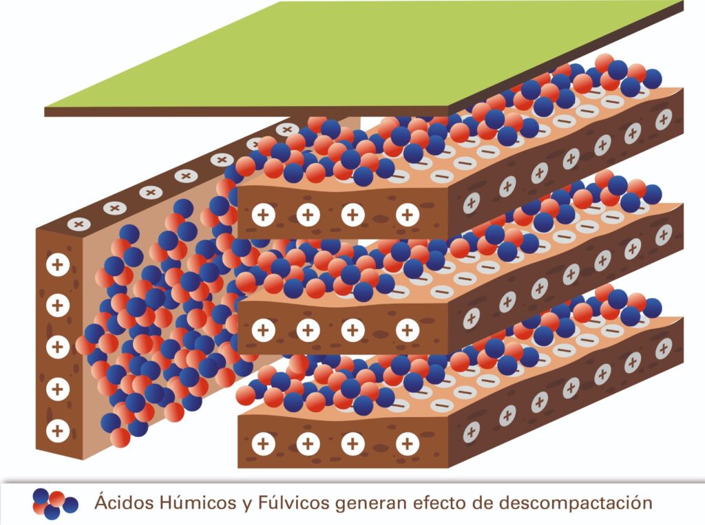 Una nueva tecnología para el mejoramiento de los suelos, optimizando agua y nutrientes
