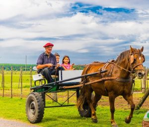 Cansado de que no se conozca cómo es la vida de campo, abrió su chacra familiar para turistas de todo el país