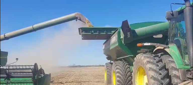 Cosecha en lotes húmedos y la pregunta urgente: ¿Cómo evitar la compactación? - Expoagro - Edición YPF Agro