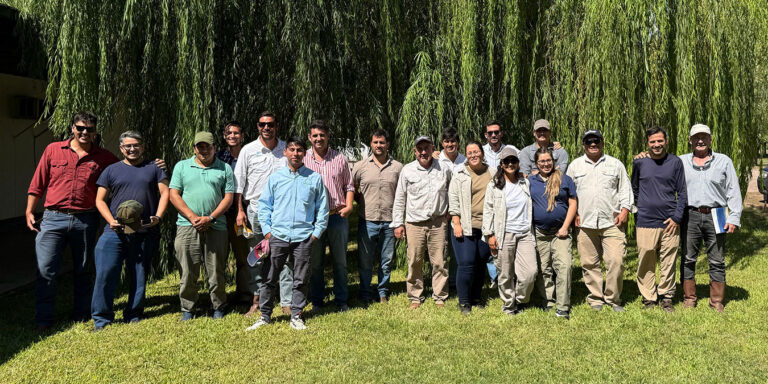 Trigos de 6.000 kg en el NOA