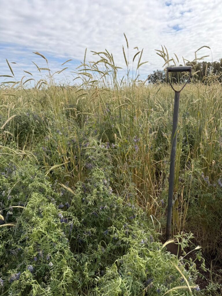 Carbono en agricultura: ¿Cómo pasar de indicadores “políticamente correctos” a decisiones concretas y de impacto?