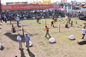 15/03 – LOS MEJORES ALAMBRADORES ARGENTINOS SE LUCIERON EN EXPOAGRO