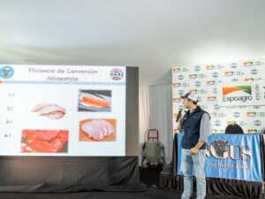 La eficiencia de conversión y las nuevas oportunidades en la producción de carne Angus