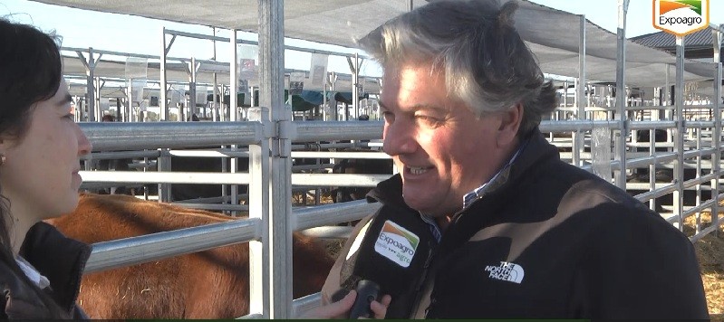 Gestión ganadera: tecnología e innovación