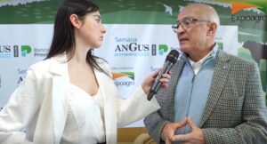 Angus: Perspectivas del mercado ganadero argentino