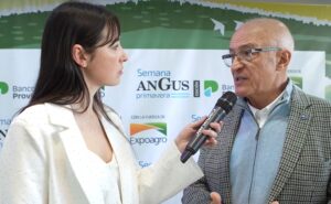 Angus y el mercado ganadero con valores históricos y más carne exportada
