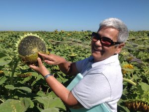 «En la campaña 22-23 se sembró la mayor superficie de girasol desde 2007-2008»