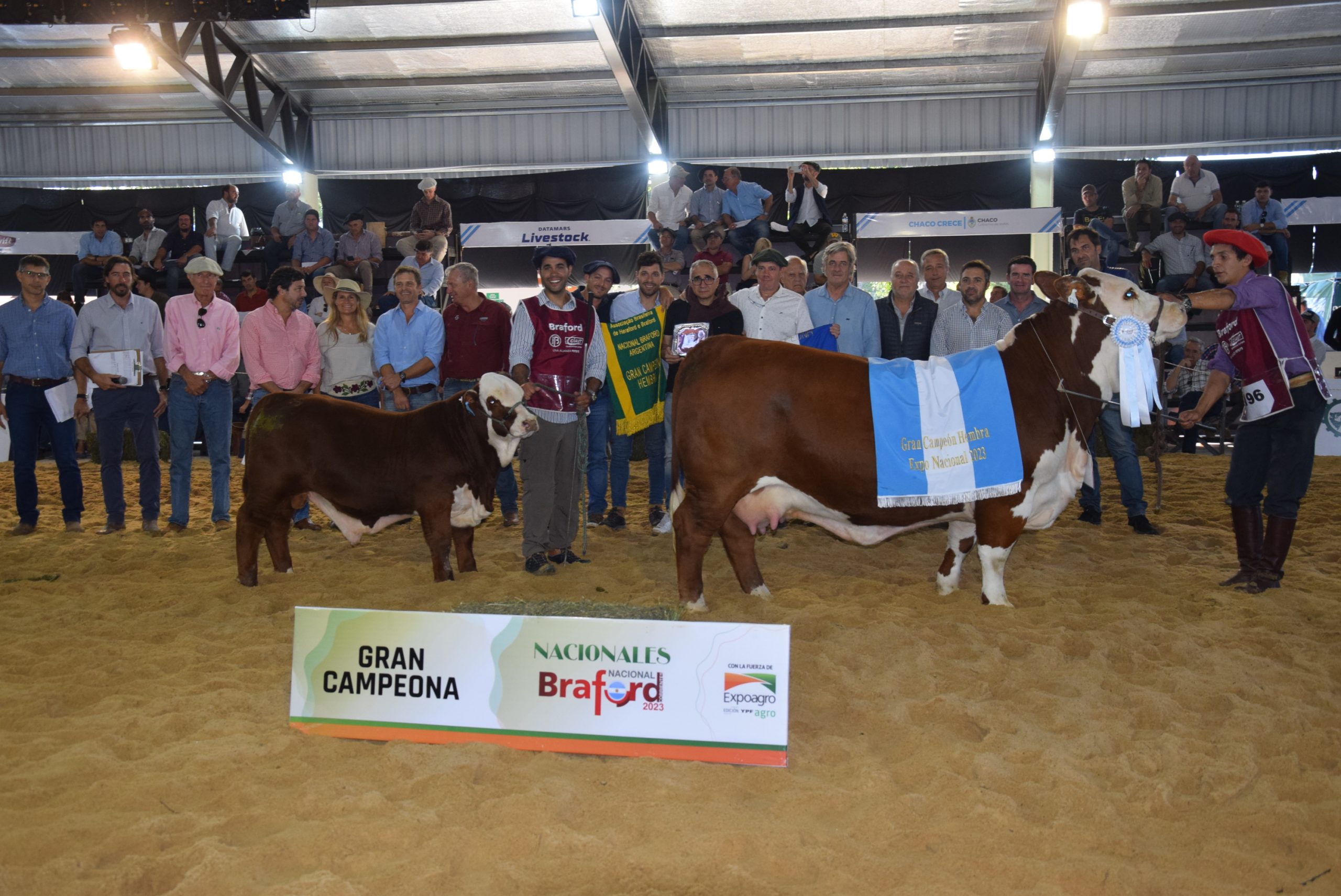 Santa Irene y La Matilde se llevaron los mayores premios de la Nacional Braford