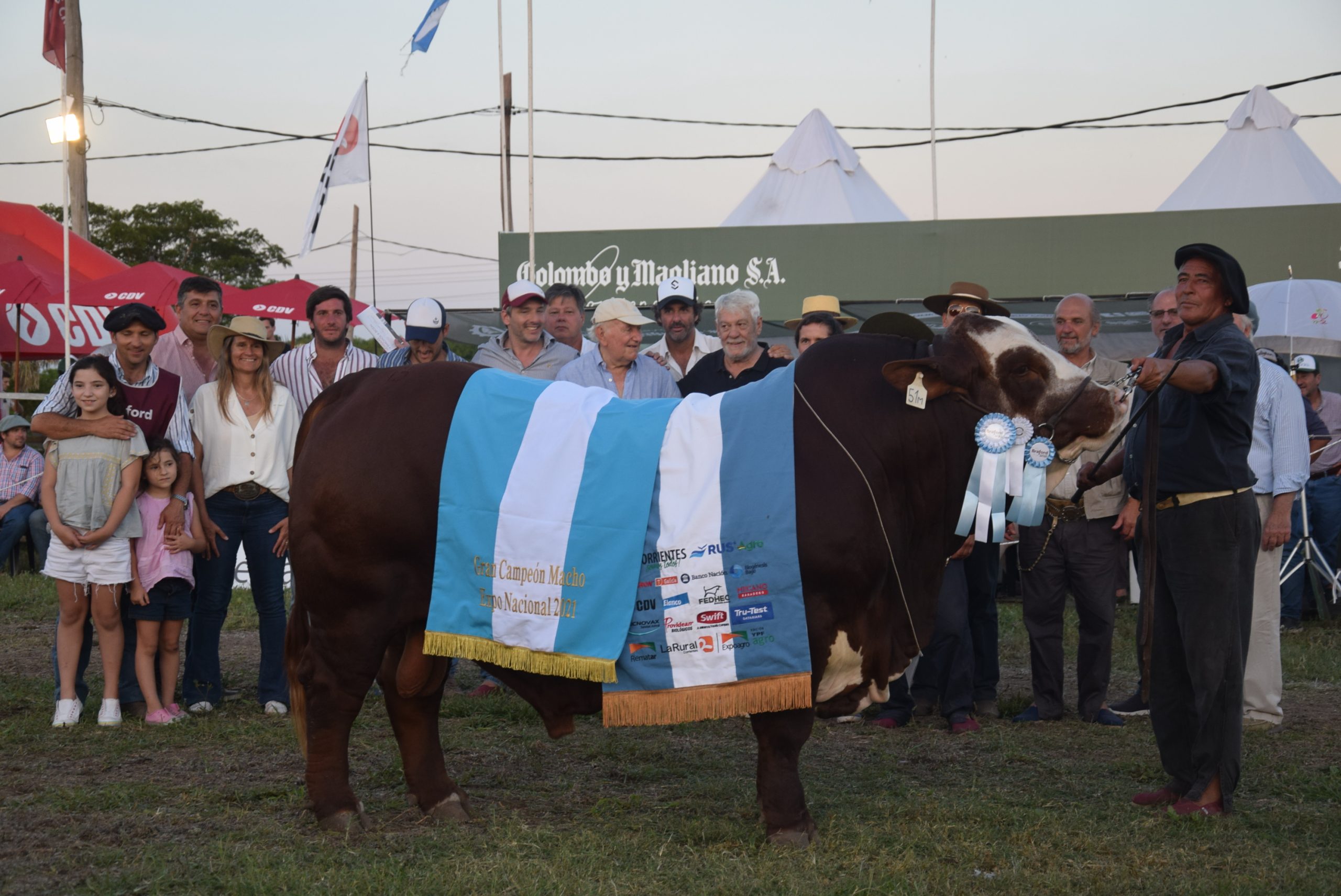 Braford: Cabaña Pilagá y Marcaojo son los Grandes Campeones