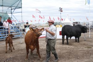 11/03 – BRANGUS DIO CÁTEDRA EN EXPOAGRO