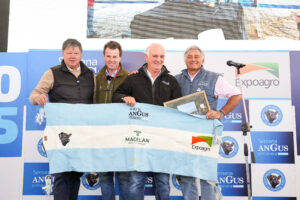Madelan inauguró el segundo día de la Semana Angus de Primavera con una oferta de 3.000 cabezas