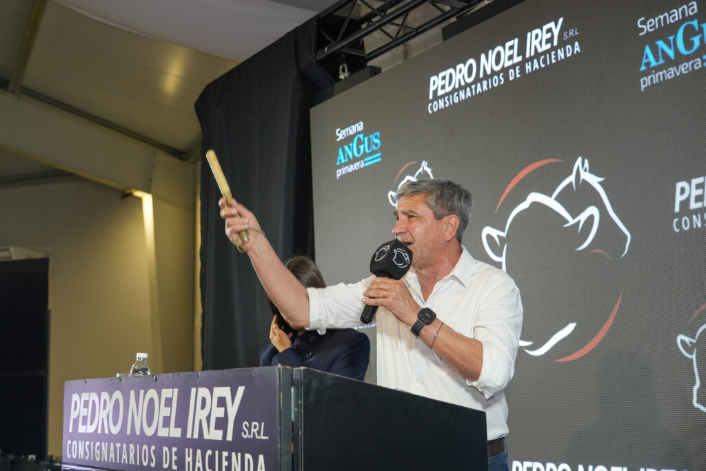 Pedro Noel Irey concretó un exitoso remate de 10.500 cabezas