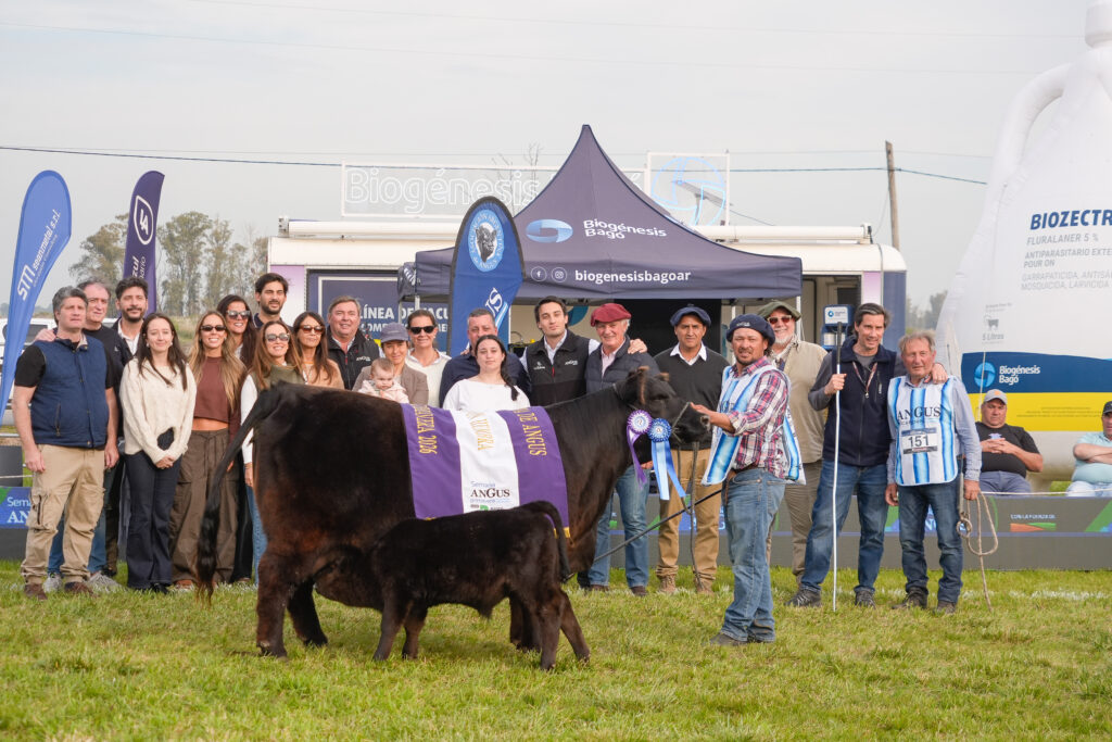 Reservado Gran Campeón Hembra Reservado Gran Campeón Hembra