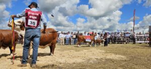 CDV dejó huella en su paso por la expo