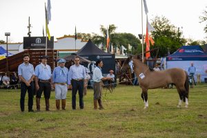 Los Criollos se lucieron en la pista de Riachuelo