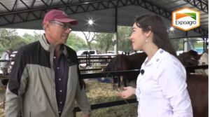 Walter Alegre y su apuesta ganadera: el camino hacia la excelencia en Cabaña La Elisa