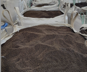 Guano convertido en biofertilizante sustentable