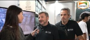 Del campo al paquete de yerba mate