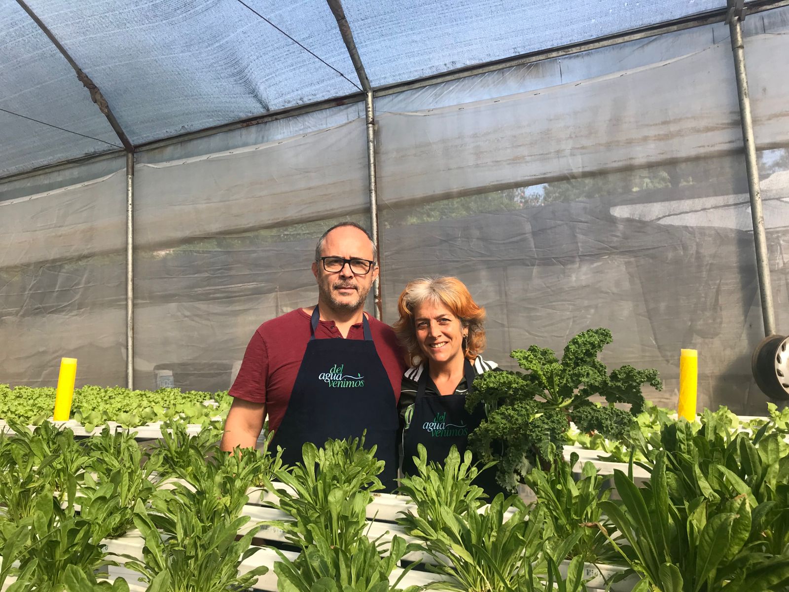 Hidroponía gourmet: un proyecto argentino que cultiva futuro desde Pablo Nogués