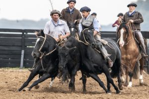 Celebran 100 años al galope