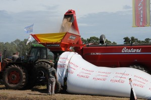 10/03 – CESTARI SIGUE APOSTANDO A PRODUCIR VALOR