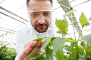 6 de agosto: Día de las Ciencias Agrarias y Agrobioindustria y el Día de la Enseñanza Agropecuaria