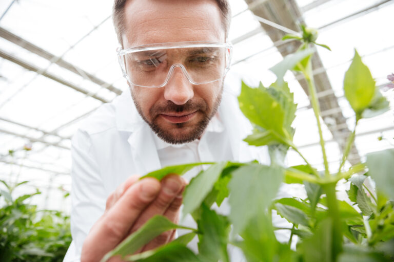 Día de las Ciencias Agrarias y Agrobioindustria y el Día de la Enseñanza Agropecuaria