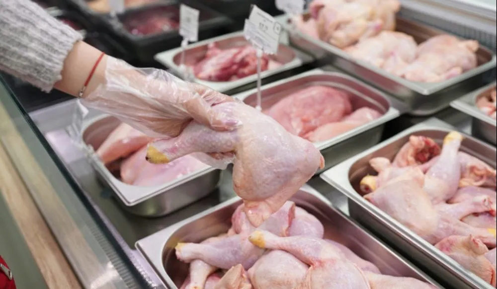 Carne aviar argentina: entre la madurez del consumo interno y la oportunidad exportadora