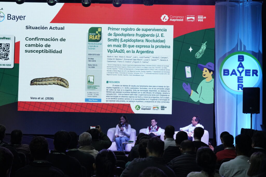 Maíz Bt: “El problema no son las plagas, somos nosotros”, alertaron los expertos