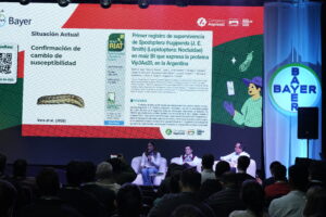 Maíz Bt: “El problema no son las plagas, somos nosotros”, alertaron los expertos