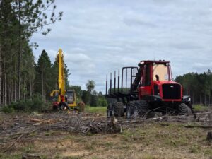 La madera, un producto estratégico para el desarrollo de Corrientes