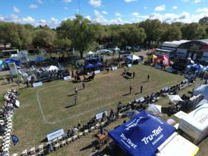 Comenzó la Expo Nacional Angus de Primavera