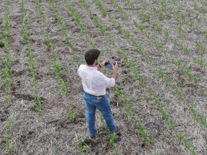 ¿Cuánto se puede ahorrar con un drone en un campo?