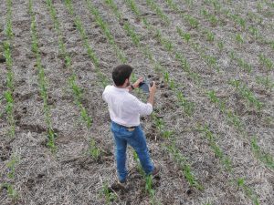 El drone, clave para la agricultura