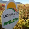 9/06 – DON MARIO: SEMILLAS QUE SE ADAPTAN MEJOR A CONDICIONES DE CLIMA Y AMBIENTE