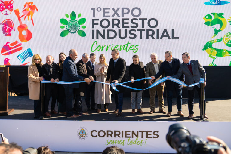Corrientes muestra su potencial maderero en la 1° Expo Foresto Industrial