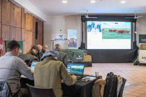 Madelan cerró la semana de remates de invernada en Las Nacionales