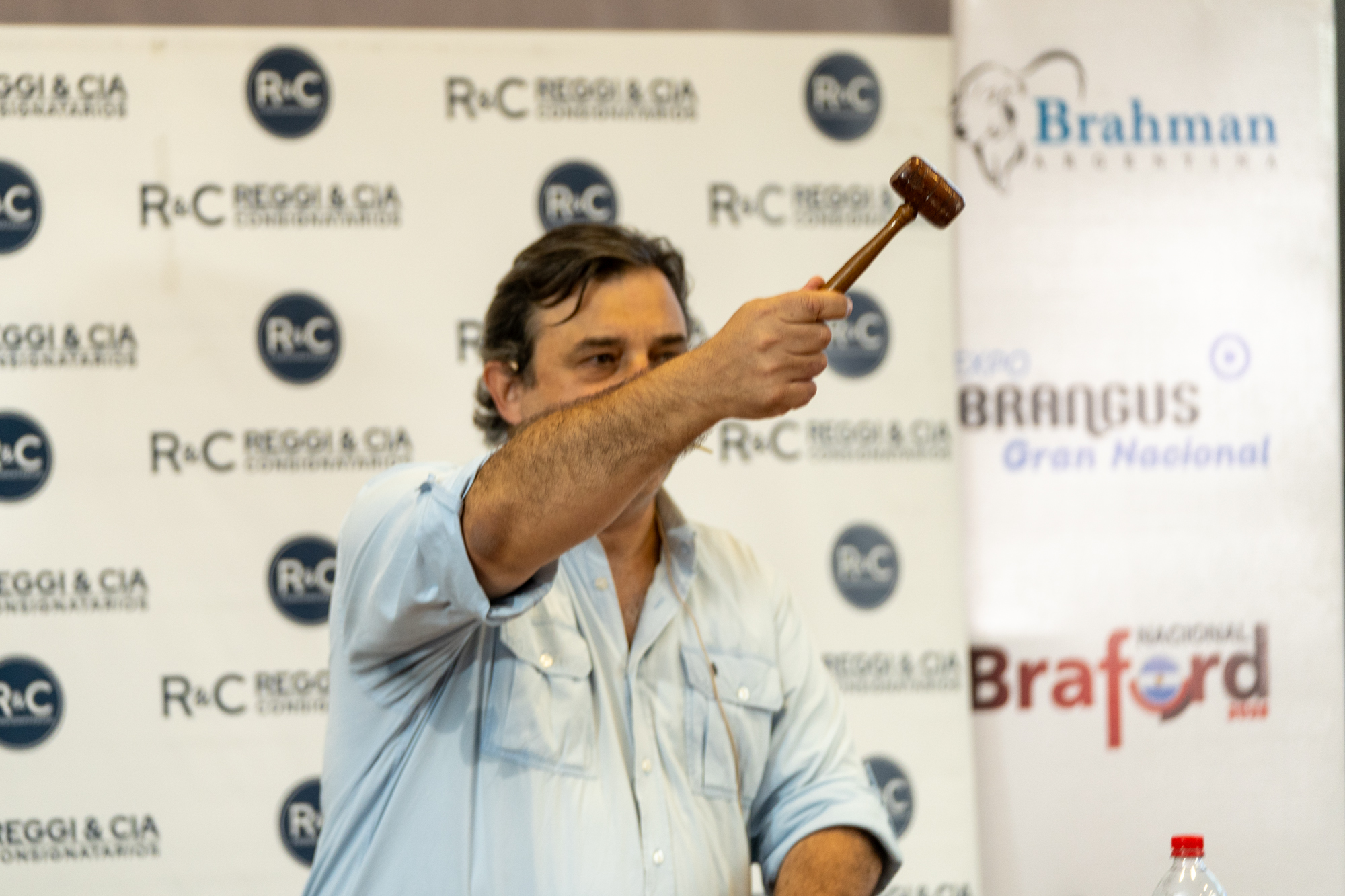 Reggi y Cía abrió la semana de remates de Las Nacionales